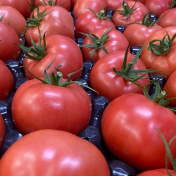 Pomidor Malinowy ~1kg (4-5 Sztuk)